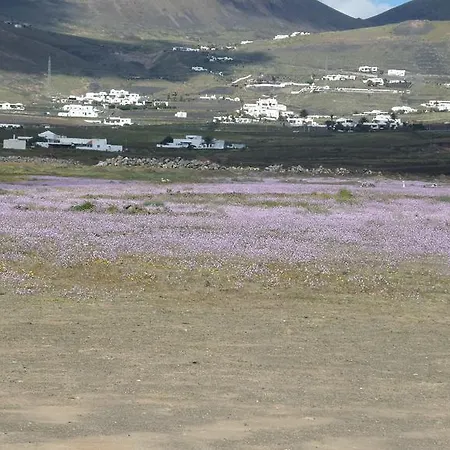 Arrecife Wow * Arrecife (Lanzarote)